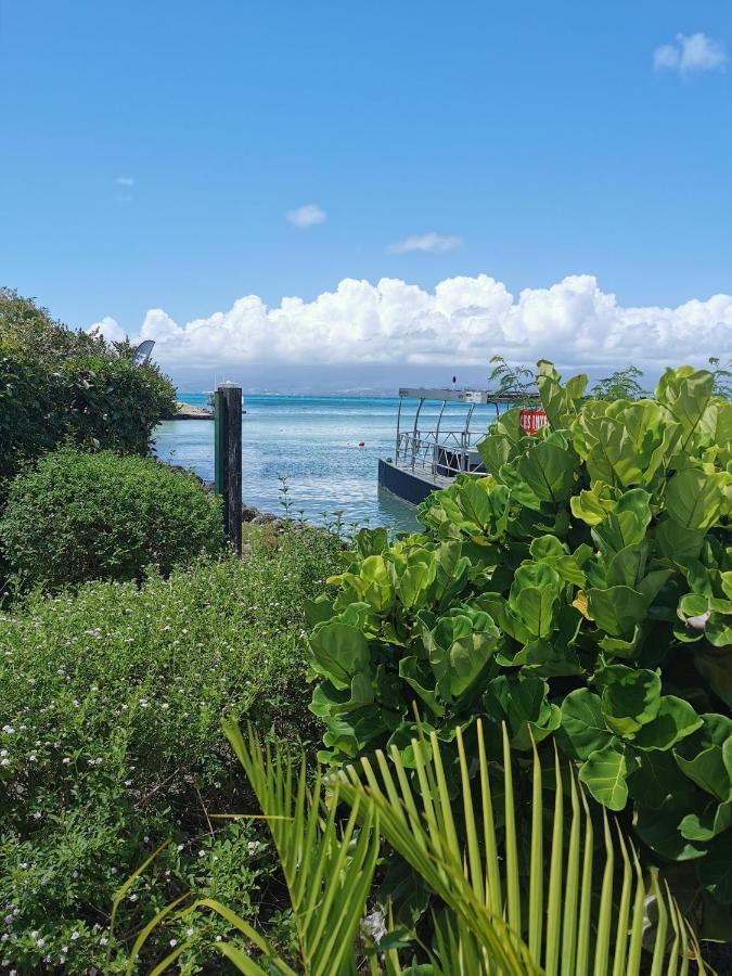 La Creole T3 Lumineux A 1Mn De La Plage Le Gosier  Luaran gambar